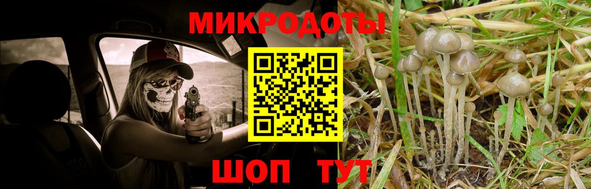 Галлюциногенные грибы Cubensis  Псилоцибиновые грибы Psilocybine cubensis  Новозыбков  Вход с VPN 