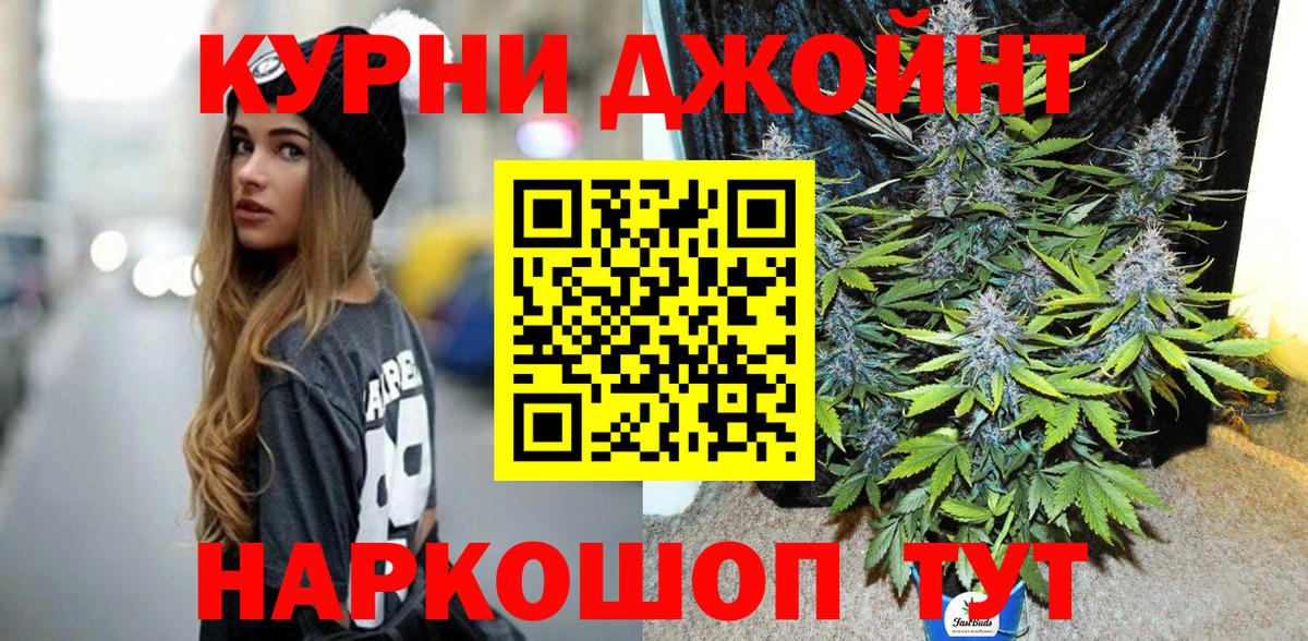 Новозыбков  Конопля семена  Вход с VPN  МАРИХУАНА MAZAR 